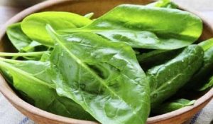 خواص برگ چغندر